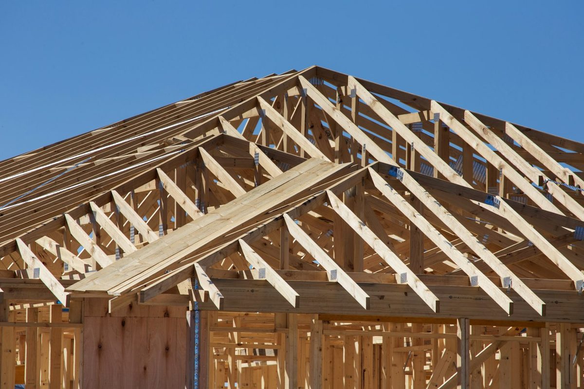 Exposed timber roof trusses over a new extension, open to the sky