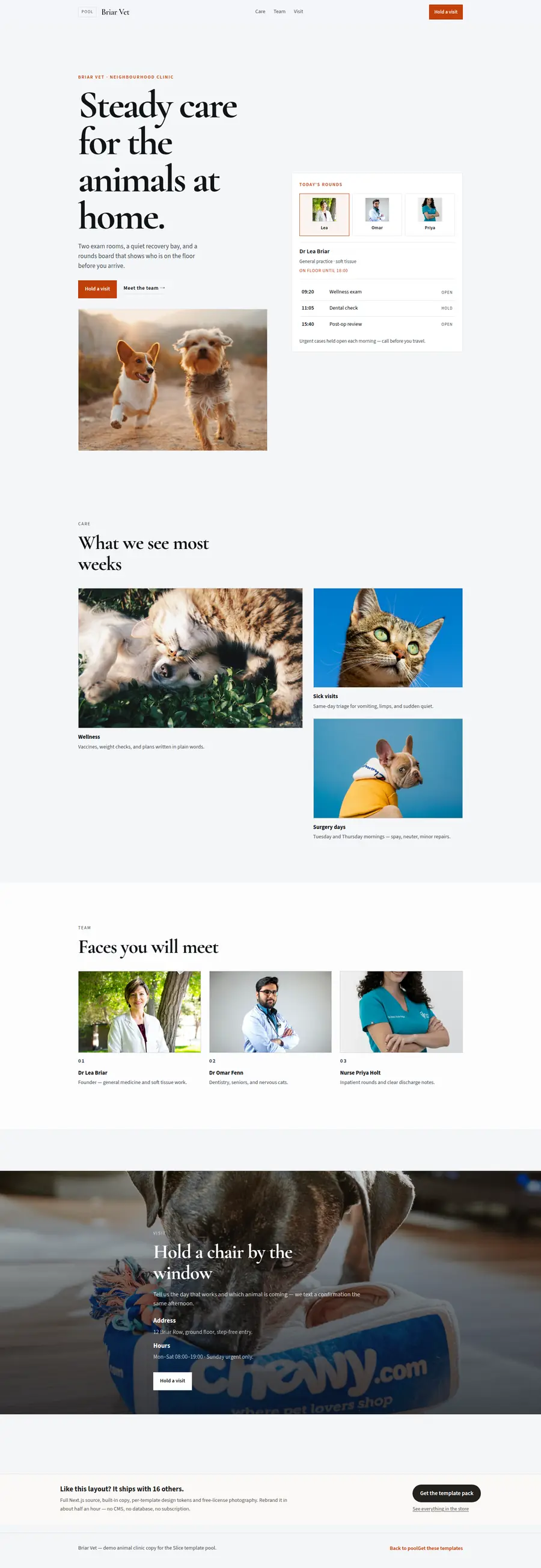 Briar Vet full-page preview